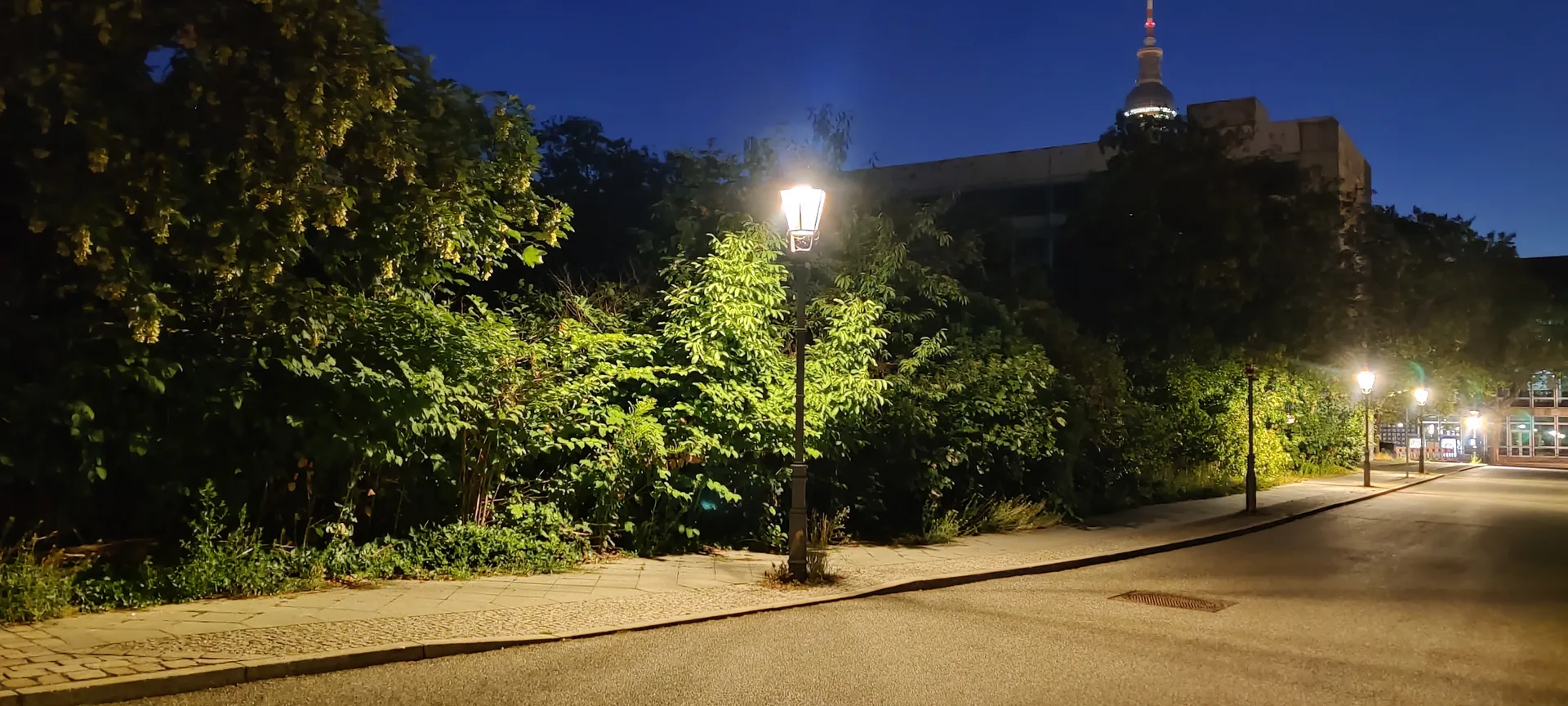 Photo de lampadaires éclairant des fourrés le long d'une rue vide, la tour de télévision au loin