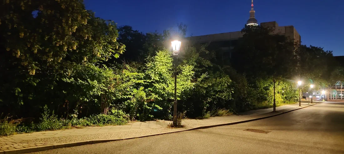 Photo de lampadaires éclairant des fourrés le long d'une rue vide, la tour de télévision au loin