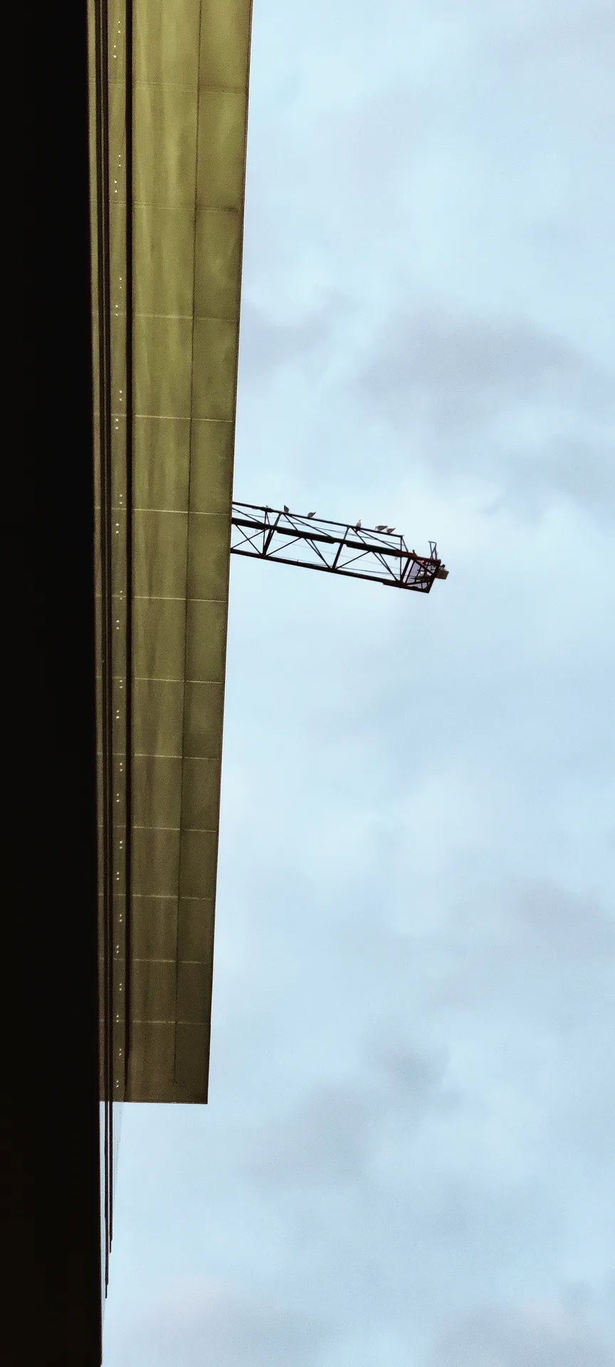 Photo en contre-plongée de l'arête d'un bâtiment et d'une flèche de grue, des oiseaux posés sur le bras d'acier, le ciel nuageux