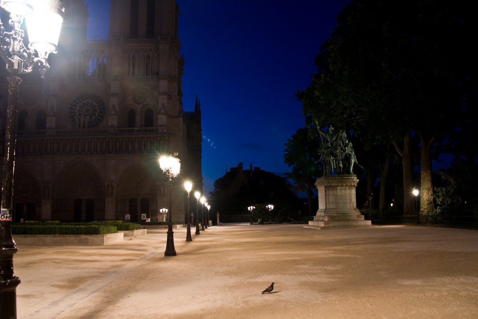 Notre-Dame à l&rsquo;heure bleue, mêlée aux dernières étoiles, Charlemagne dominant un pigeon téméraire