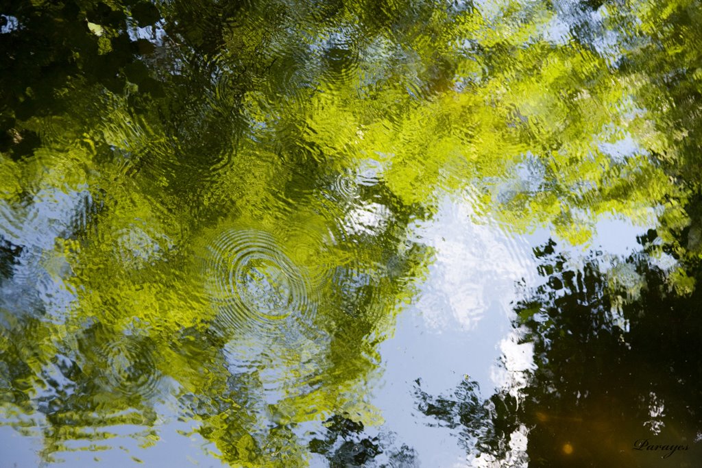 Verdure et ciel perdus dans le reflet d&rsquo;un lac dont les ondulations me font penser à Monet